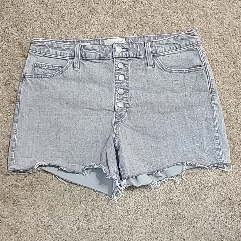 Universal Thread Women's Shorts Size 12/31R